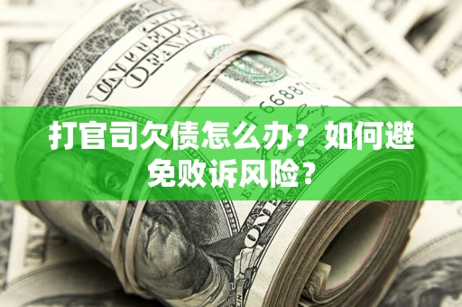 北京打官司欠债怎么办？如何避免败诉风险？