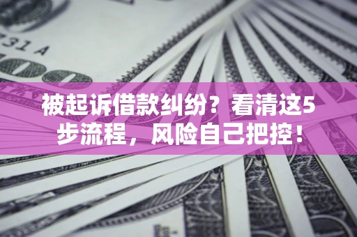 北京被起诉借款纠纷？看清这5步流程，风险自己把控！