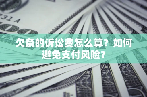 北京欠条的诉讼费怎么算？如何避免支付风险？